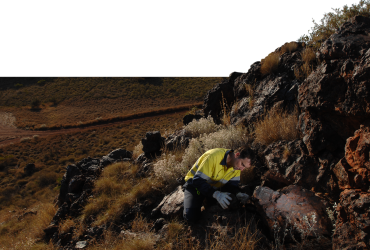 SREs & Terrestrial Invertebrates