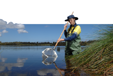 Wetlands