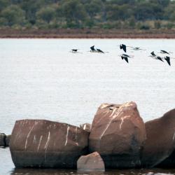 Beyondie Potash Project, WA